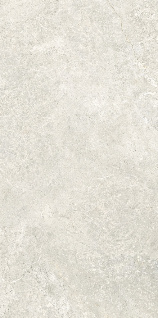 MT2147 Arctic Tundra Ivory Matt 60x120 - Swatch 1.jpg