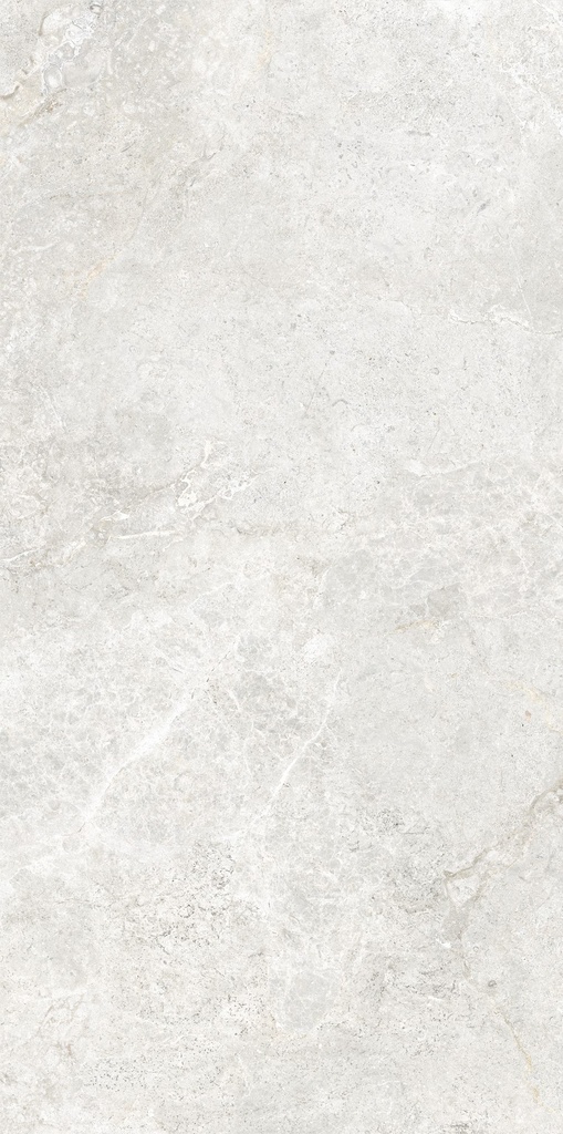 MT2146 Arctic Tundra White Matt 60x120 - Swatch 1.jpg