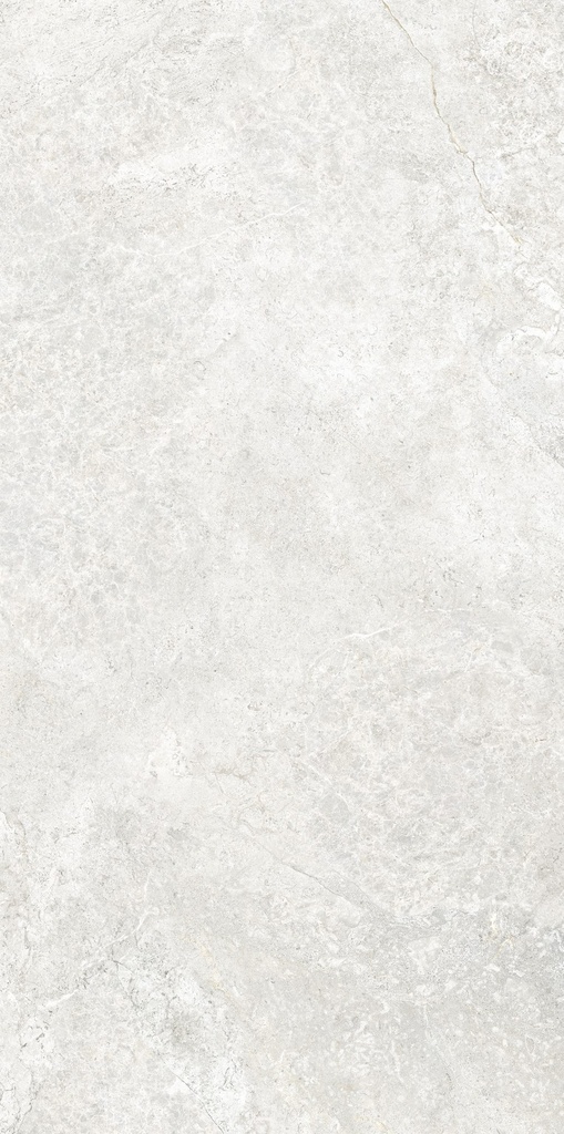 MT2146 Arctic Tundra White Matt 60x120 - Swatch 2.jpg