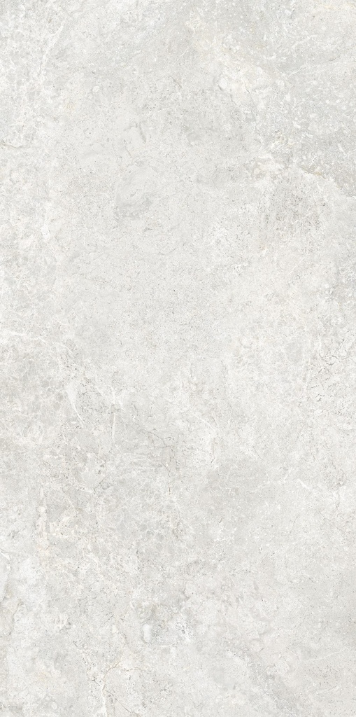 MT2146 Arctic Tundra White Matt 60x120 - Swatch 3.jpg