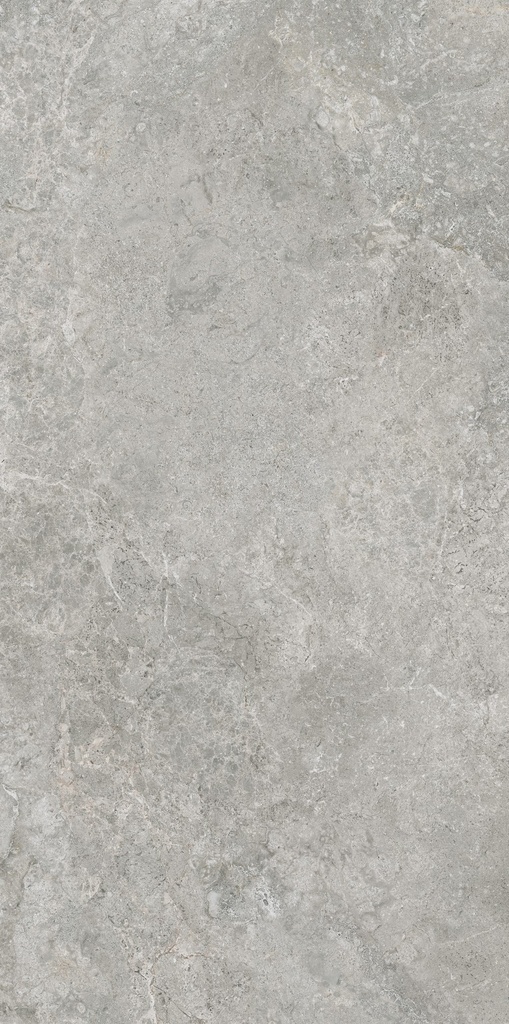 MT2148 Arctic Tundra Grey Matt 60x120 - Swatch 3.jpg