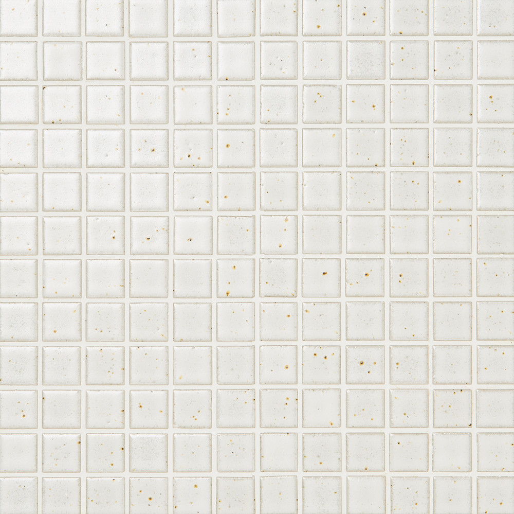 ACA020 Kayo Square White Matt Mosaic 22.5mm - Swatch.jpg