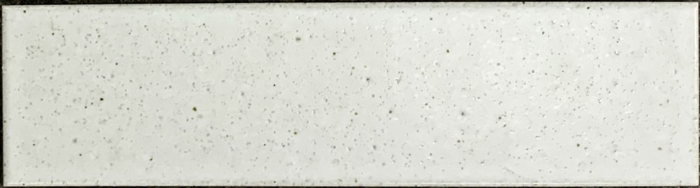 ACA043 Hida White Matt 60x227mm - Swatch 1.jpg