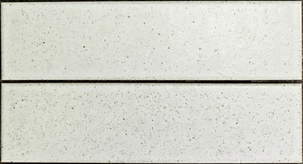 ACA043 Hida White Matt 60x227mm - Swatch 2.jpg