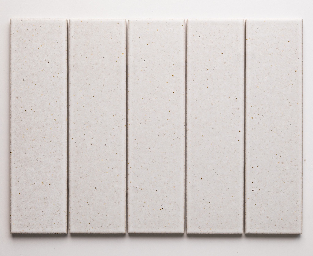 ACA043 Hida White Matt 60x227mm - Swatch 3.jpg