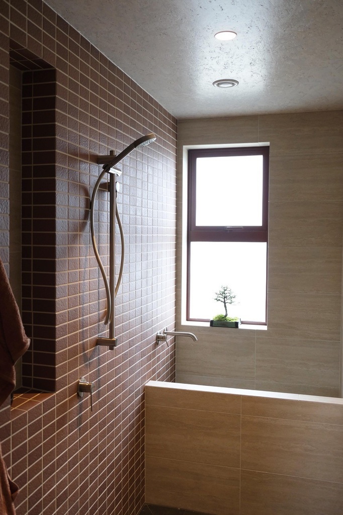 ACA040 Pasture Brick Matt Mosaic 45x95mm - Bathroom 3.jpg