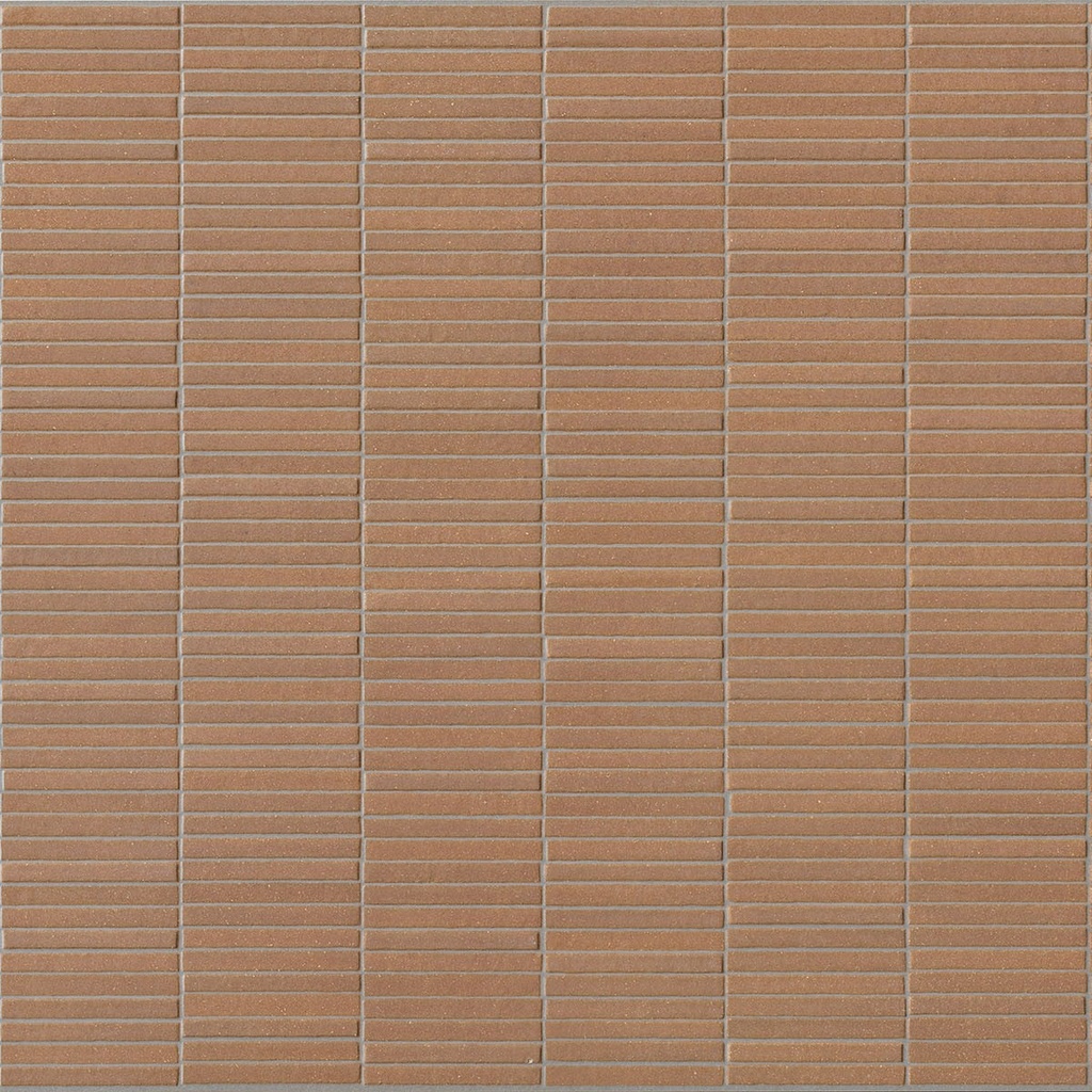 ITA367 Terre Cotto Mini Decor 60x120 - Swatch 2.jpg