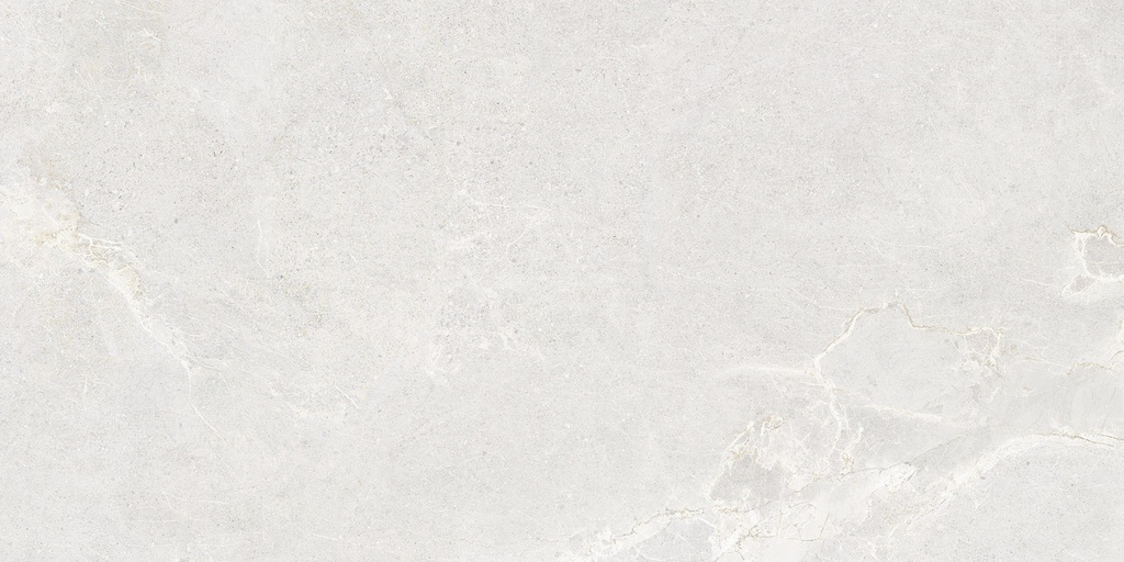[ANTHWHI12] Anthology White Matt 600x1200mm