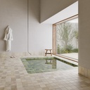 Aqua Green Gecko 11x11 (110x110MM)