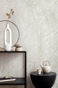 TAJ MAHAL SHELL (600X1200 MM)